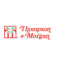 thompson  and morgan